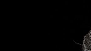 Durante sus años de competencia, Patrick Dempsey condujo varios autos (Porsche 911, Mazda RX8, Aston Martin Vantage y Oreca FLM09) y obtuvo nueve podios en total