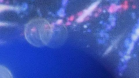 Los dos informes fueron presentados por el Comité de Inteligencia del Senado