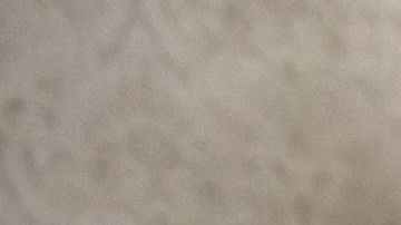 Ivanka Trump intervino en negociaciones entre negocios familiares y asuntos oficiales.