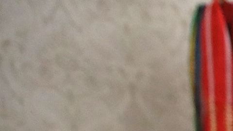 Ivanka Trump intervino en negociaciones entre negocios familiares y asuntos oficiales.