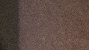 El Gobierno de Nueva York busca proteger a sus inmigrantes.