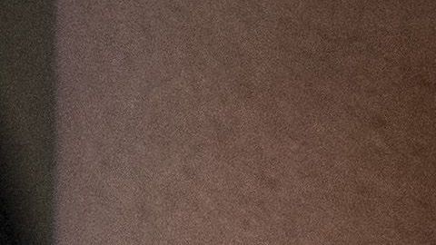 El Gobierno de Nueva York busca proteger a sus inmigrantes.