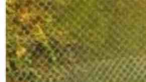 Un arroyo, Hamm Creek, antes y después del trabajo de restauración de un veterano