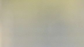 Rubens Sambueza es el nuevo refuerzo del Club León a partir del Clausura 2019