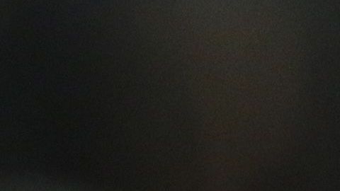 Ana Bárbara interpretó el Himno Nacional de México previo al arranque del partido