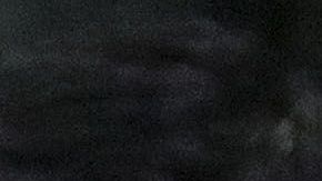 Una monumental trifulca se desató en las tribunas del estadio Azteca