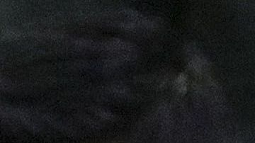 Una monumental trifulca se desató en las tribunas del estadio Azteca