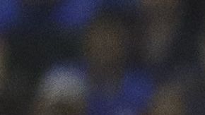 Miguel Herrera sigue celebrando el título número 13 de las Águilas del América