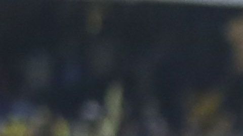 Miguel Herrera sigue celebrando el título del América