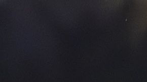 Las Águilas del América van en busca del bicampeonato