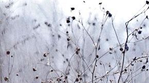 Los hechos ocurrieron el 24 de diciembre.