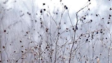 Los hechos ocurrieron el 24 de diciembre.