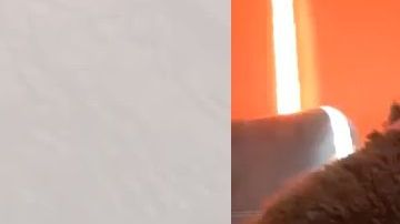 Este par la está "rompiendo" Twitter.