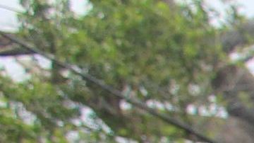 Residentes de Ponce, Puerto Rico, a pocos días del paso del huracán.