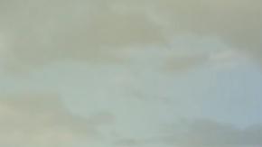 "Pájaros de verano", candidata colombiana