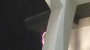 Un oso disfrutando de las decoraciones navideñas.