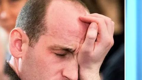 Stephen Miller aparentemente utilizó cabello en spray.