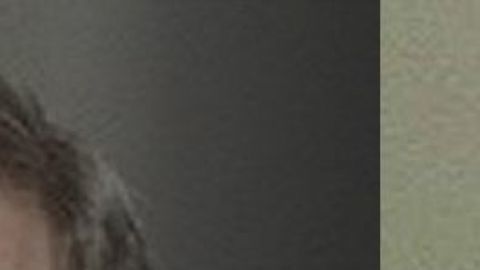 El actor fue detenido por supuesto intento de abuso de menores.