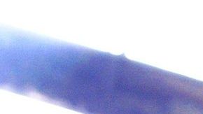 El peso mexicano tuvo un buen inicio de semana frente al dólar.