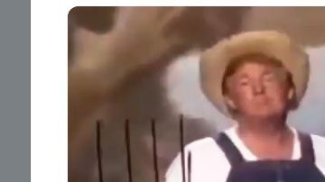 Trump rescató un video de los Premios Emmy 2005  junto a la actriz Megan Mullally