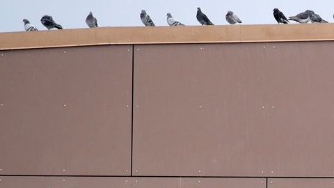 Cada día Walmart invierte más en el e-commerce con la esperanza de superar a Amazon.