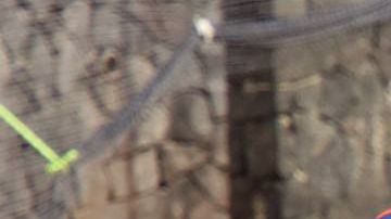 Yoshimar Yotúnya entrena con la Máquina celeste de Cruz Azul