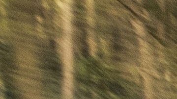 El límite de velocidad nacional fue eliminado en los 90s