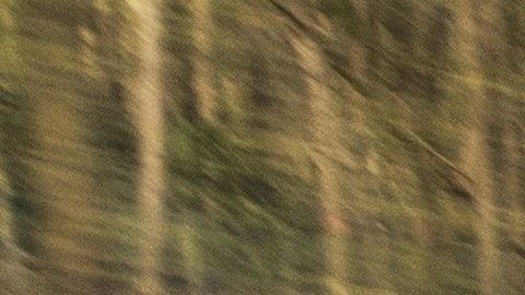 El límite de velocidad nacional fue eliminado en los 90s