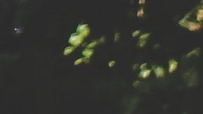 La temporada de barrido de calles inicia este lunes, 1 de abril, en la ciudad.