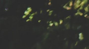 La temporada de barrido de calles inicia este lunes, 1 de abril, en la ciudad.