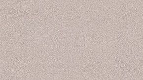 Mucho cuidado con el alimento seco que le das a tu perro.