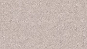 Mucho cuidado con el alimento seco que le das a tu perro.