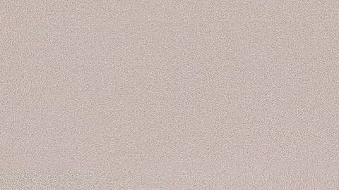 Mucho cuidado con el alimento seco que le das a tu perro.