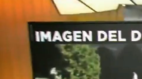El conductor agradeció a tuiteros por corregir su nota informativa.