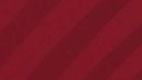 Andrés Manuel López Obrador, presidente de México.