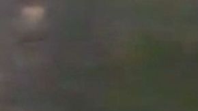 Angelique Boyer y Michel Brown