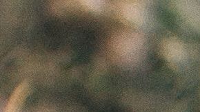 Los calcetines sucios no son inofensivos.