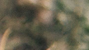 Los calcetines sucios no son inofensivos.