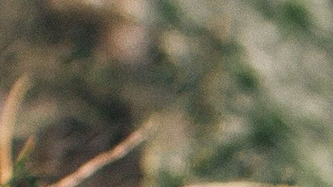 Los calcetines sucios no son inofensivos.