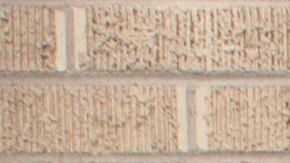 La salvadoreña Araceli Velásquez vive con  su familia en una Iglesia de Denver que forma parte del movimiento santuario. Foto: suministrada