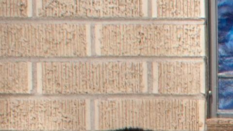 La salvadoreña Araceli Velásquez vive con  su familia en una Iglesia de Denver que forma parte del movimiento santuario. Foto: suministrada