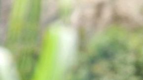 Berta Cáceres (1973-2016) se oponía a la construcción de una represa en zona indígena