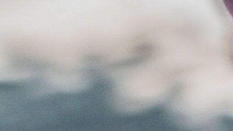 Pagar 6 meses o un año por adelantado tiene un gran beneficio