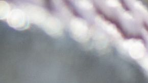 Se sabe que el 60% de los niños y jóvenes intimidadores terminan en la cárcel antes de cumplir los 24 años por crímenes o violencia doméstica.