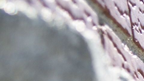 Se sabe que el 60% de los niños y jóvenes intimidadores terminan en la cárcel antes de cumplir los 24 años por crímenes o violencia doméstica.