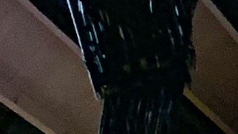 Canelo en el momento de saltar al ring del Garden.