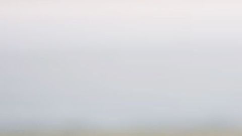 El clic tiene más de 7 millones de vistas en YouTube.