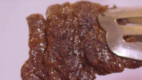 La carne de laboratorio.