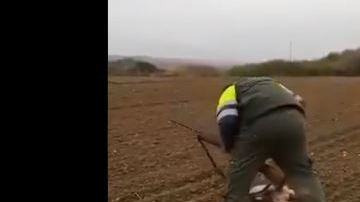 El video retrata un claro ejemplo de crueldad animal.
