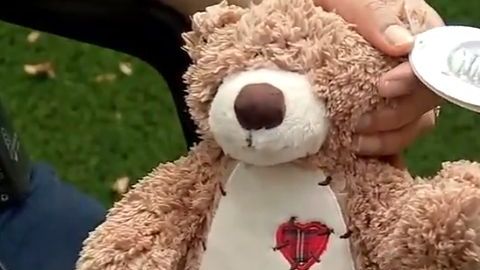 El oso fue comprado en una venta de bienes inmuebles.